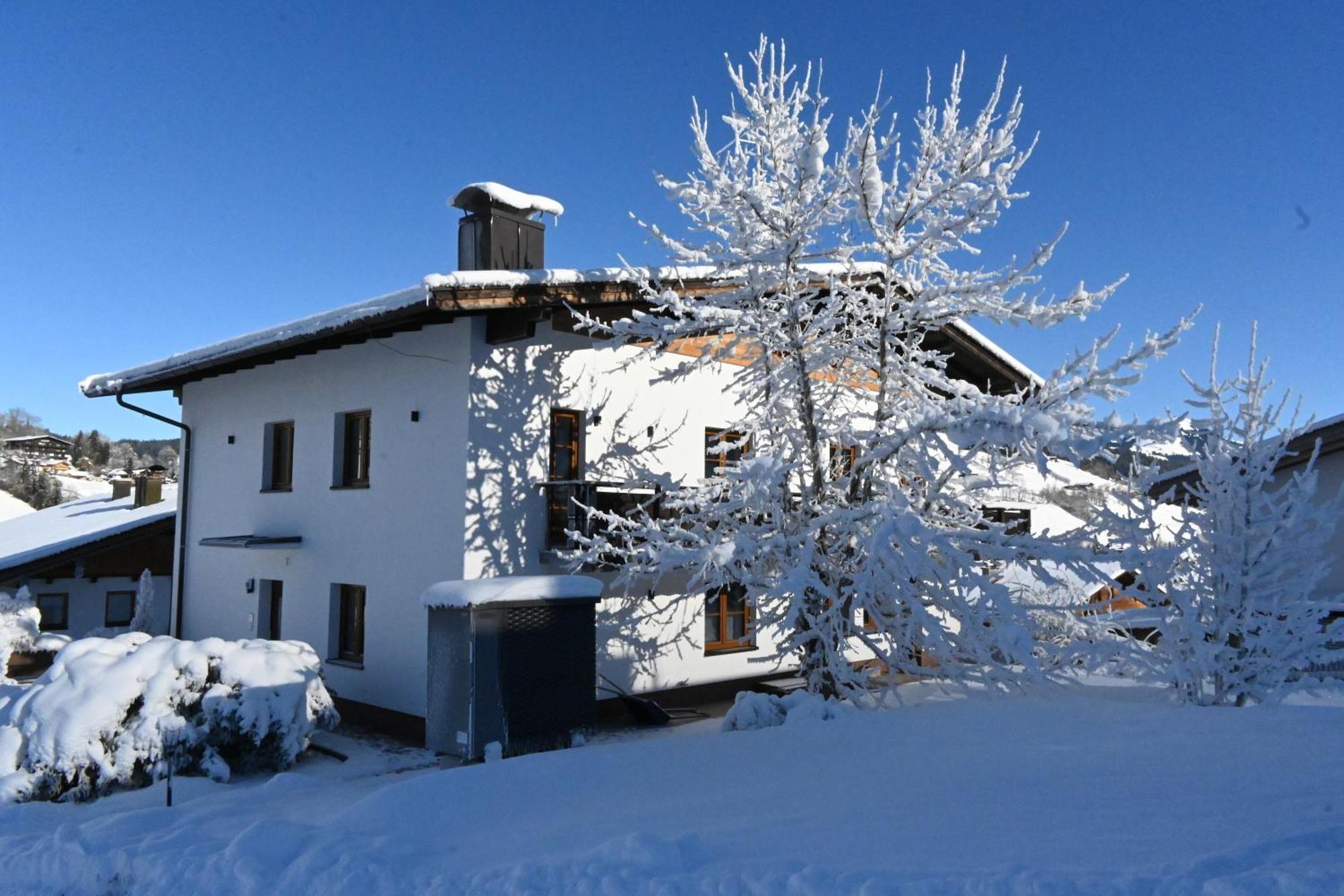 Nicky Apartments And Studios Niederau Exterior foto